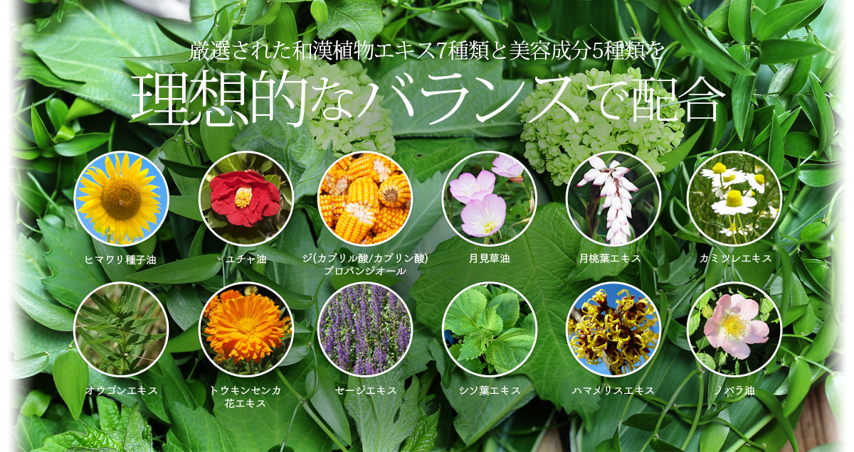 厳選された和漢植物エキス7種類と美容成分5種類を理想的なバランスで配合
